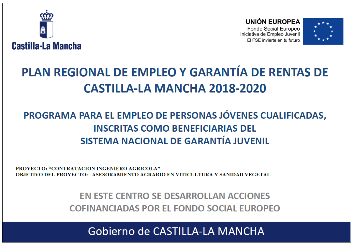 Plan Regional de Empleo y Garantía de Rentas de Castilla La Mancha 2018-2020