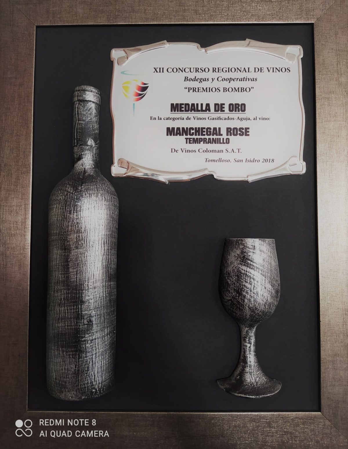 Medalla Oro en el Concurso Regional de Vinos “Premios Bombo” 2018 (Manchegal Rosado de Aguja)